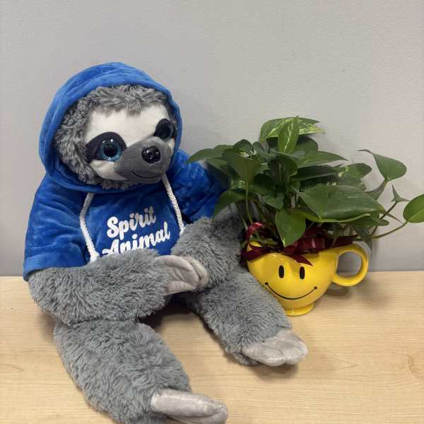 Plush sloth beside a potted green plant in a yellow smiley mug
