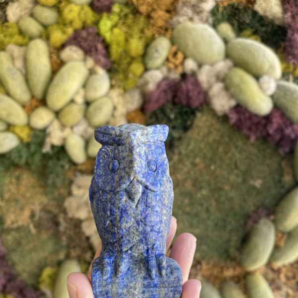 Lapis Owl