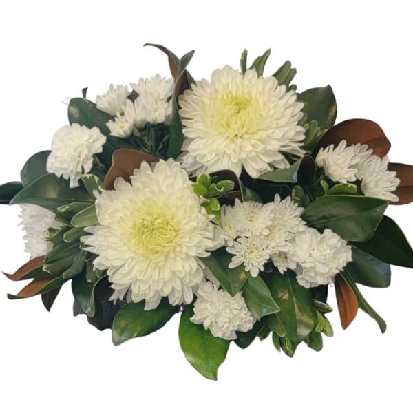 White chrysanthemum bouquet with glossy green leaves