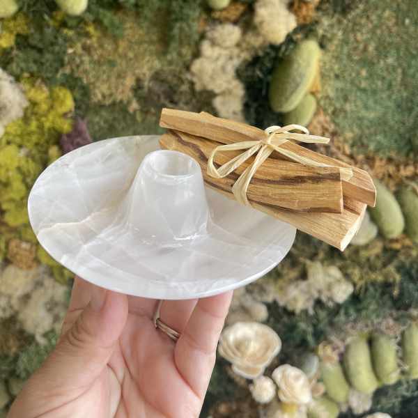 Hand holding a white shell dish with bundled wooden sticks