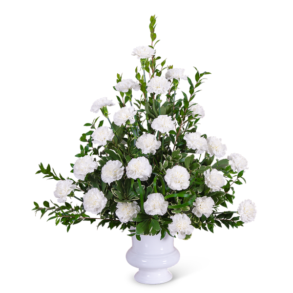 White carnation arrangement in a white urn vase
