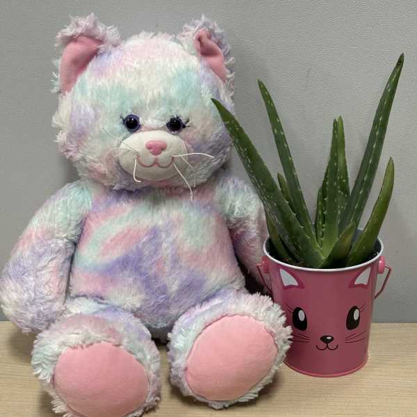 Pastel teddy bear beside a potted aloe plant in a pink cat bucket
