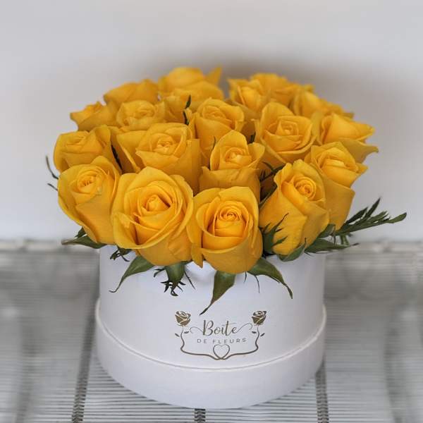 Yellow roses arranged in a white round box