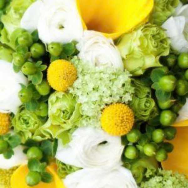 Mixed florist choice (Larger)