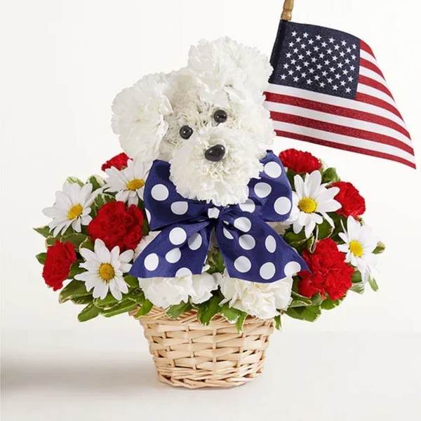 Yankee Doodle Doggy