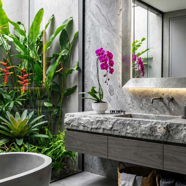 Potted purple orchid on a stone bathroom counter beside a mirror.