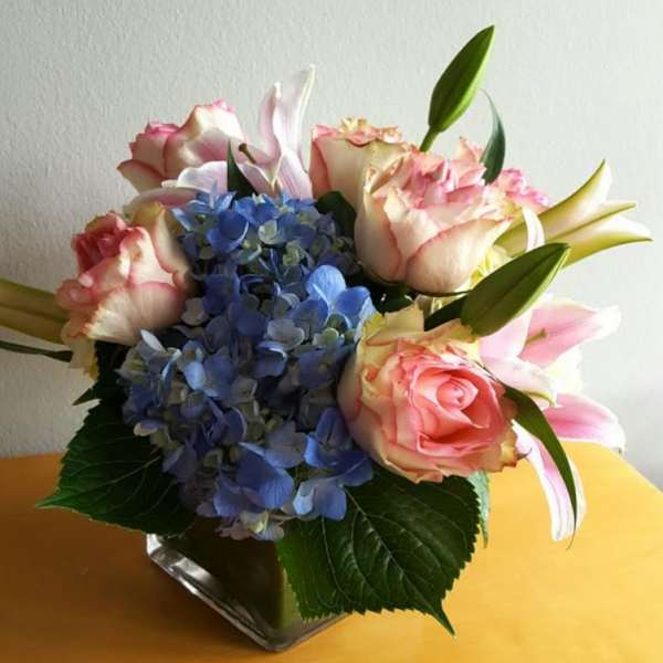 All in Bloom 25