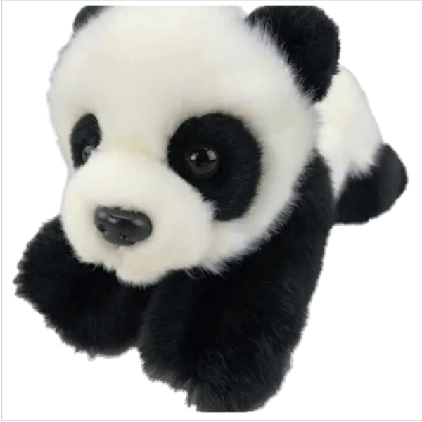 Plush panda bear toy on a white background