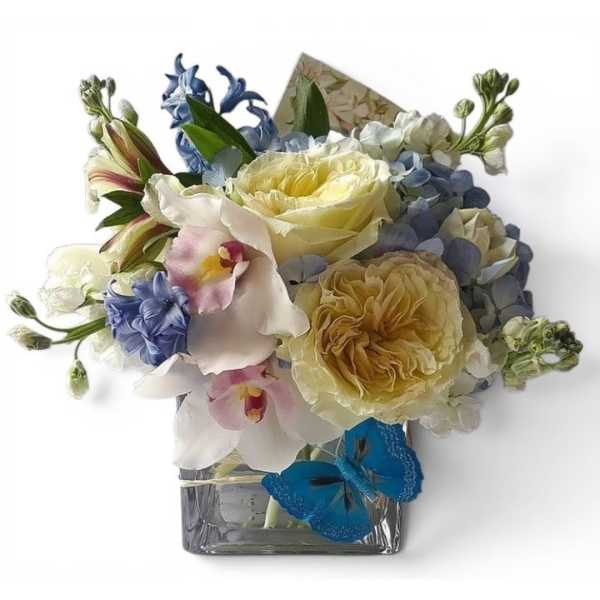 Blue Hydrangea Designer's Choice