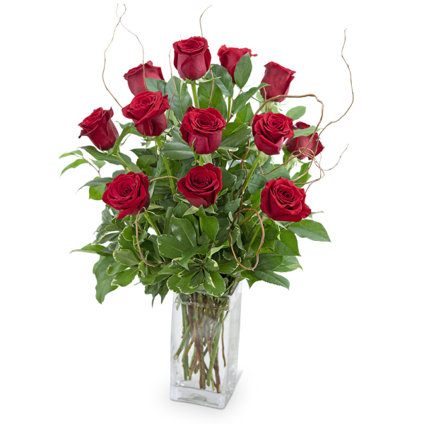Red roses arranged in a clear glass vase