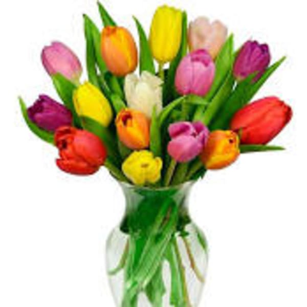 Colorful tulips arranged in a clear glass vase
