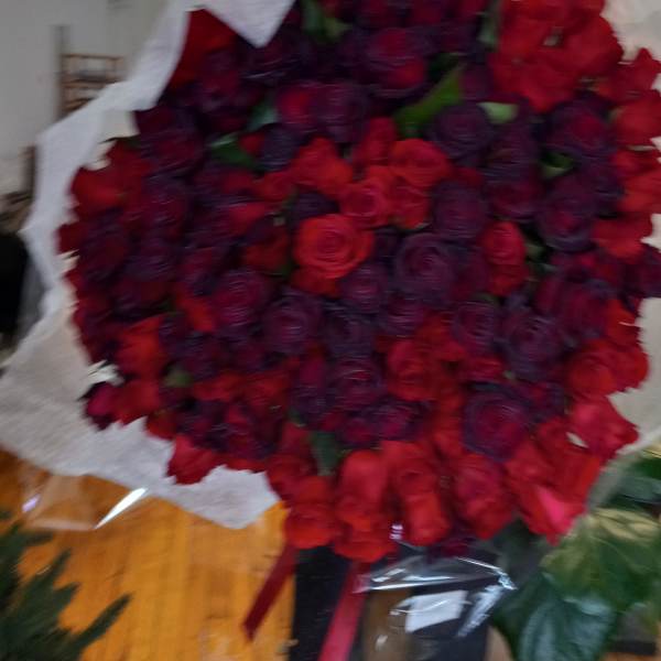 Large bouquet of red and dark purple roses wrapped in white paper