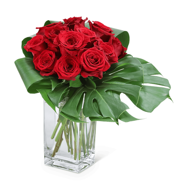 Red roses arranged in a clear glass vase with large tropical leaves
