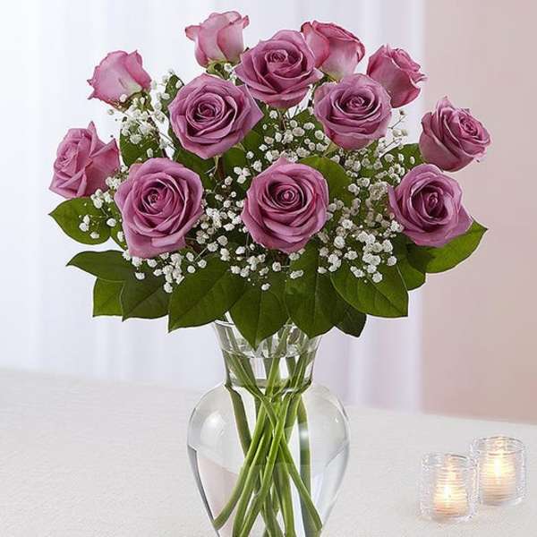 Lavender roses in a clear glass vase with baby's breath