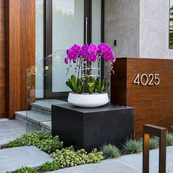 Potted purple orchids arranged in a white planter outside a modern home