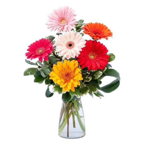 Colorful gerbera daisy bouquet in a clear glass vase