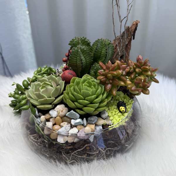 Succulent arrangement in a glass bowl with pebbles and driftwood