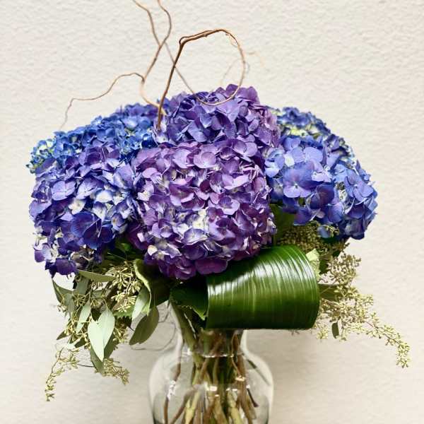 Purple hydrangea bouquet in a glass vase with curly branches