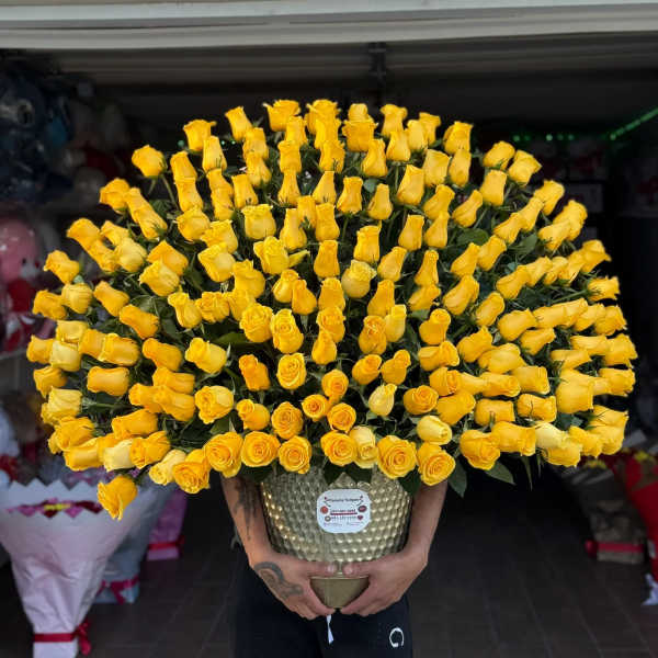 Arreglo de una vista