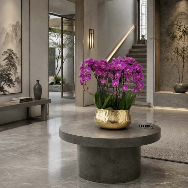 Purple Phalaenopsis Orchid Arrangement – 8 Stem Exclusive Design
