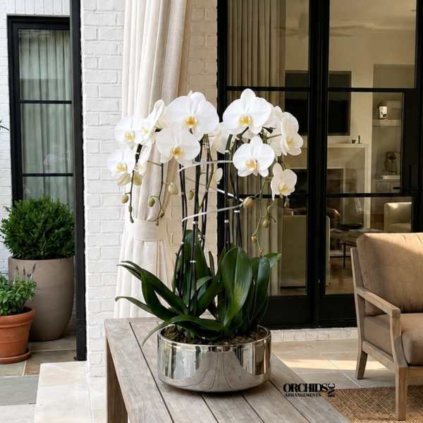 White orchids in a reflective silver pot on a wooden table
