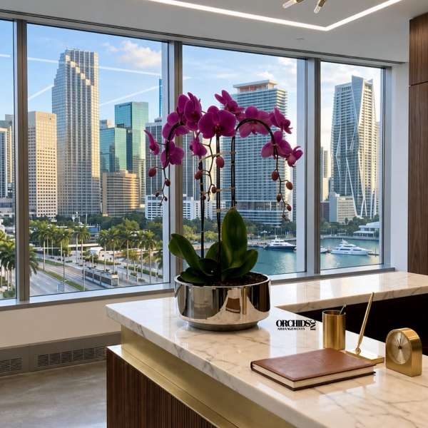 Potted purple orchid arrangement in a metallic planter on a marble desk