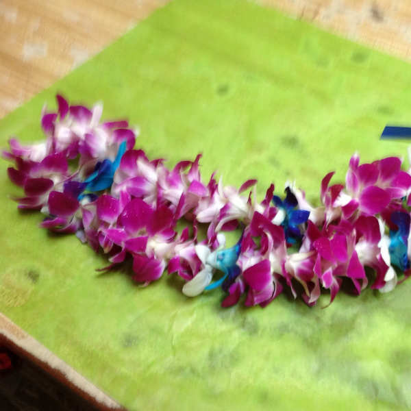 Purple and white orchid lei with blue ribbon accents on green paper