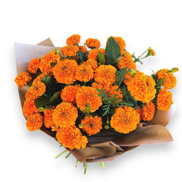 Marigold Bouquet