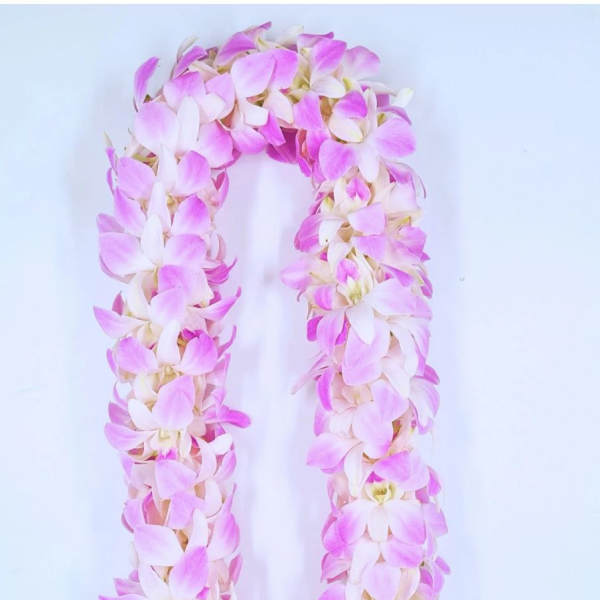 Blush pink Double Orquid Lei