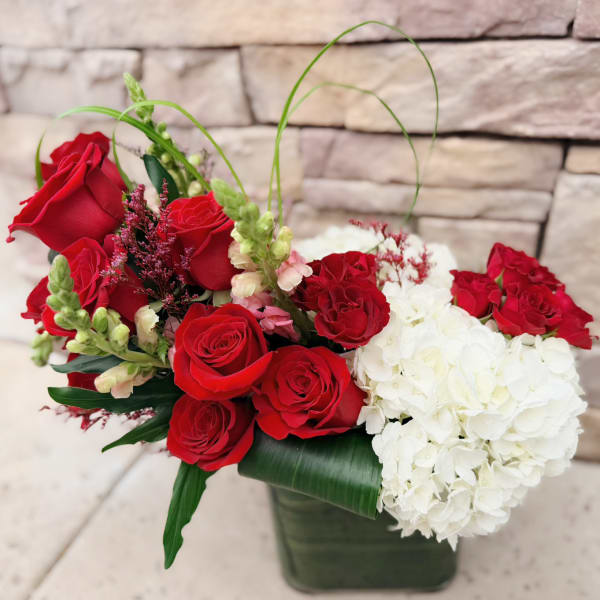 Red roses and white hydrangeas in a square vase
