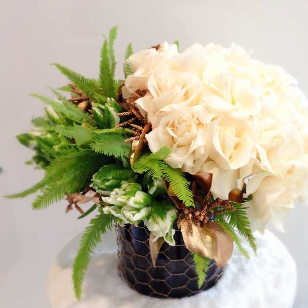 Polar Queen