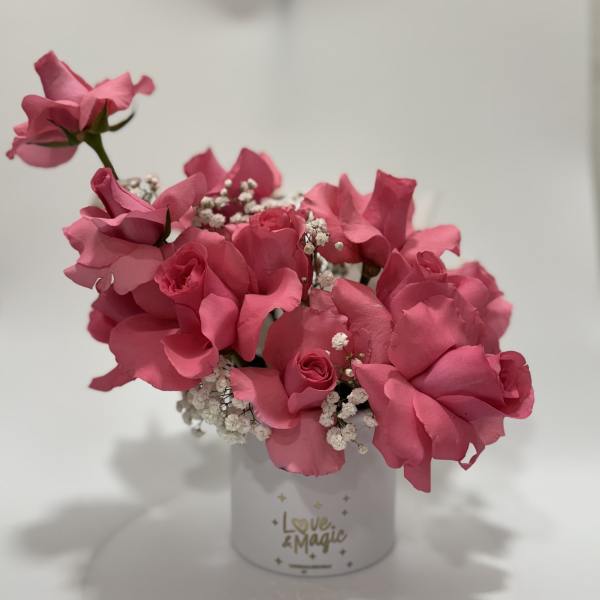 Pink roses arranged in a white cylindrical box with baby's breath