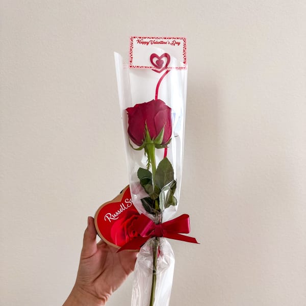 Single red rose in clear wrap with a Valentine card and ribbon