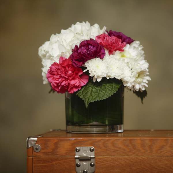 All in Bloom 6