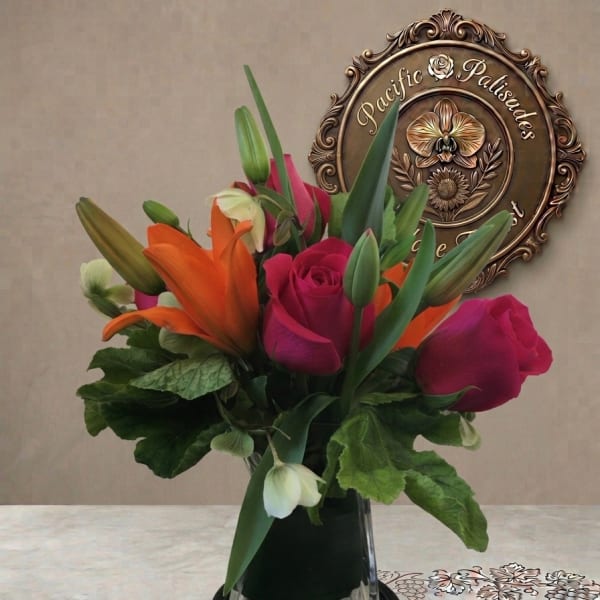 The Other Woman
