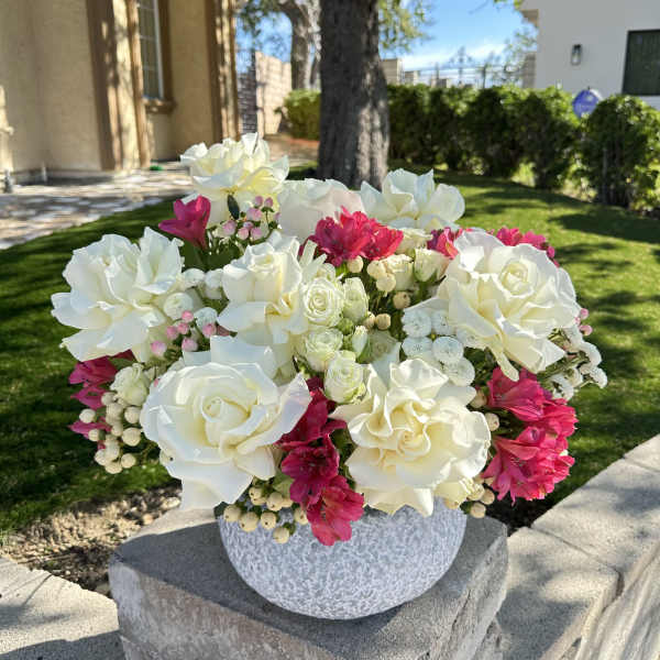 Pure Elegance