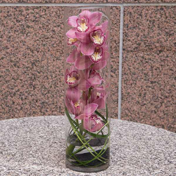 Pink orchids arranged in a tall clear glass cylinder vase