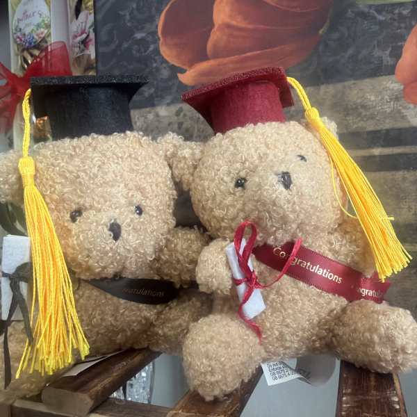 Congratulations teddy bear
