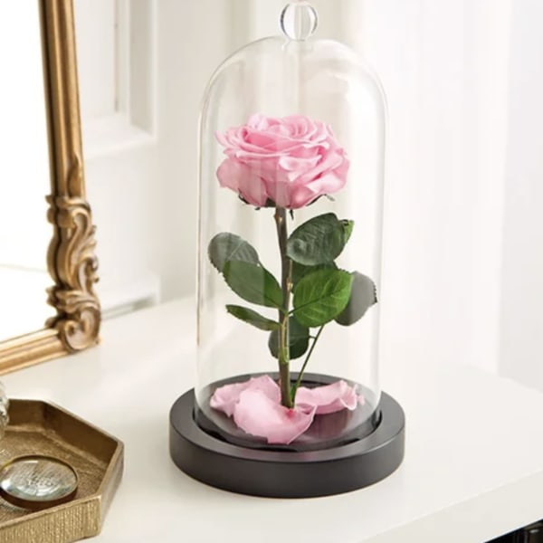 Pink rose under a glass dome on a black base