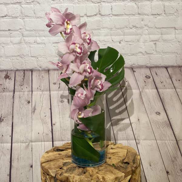Pink orchids arranged in a clear glass vase with broad green leaves.