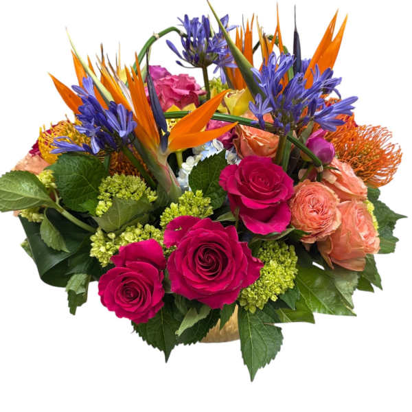 Lux – Radiance