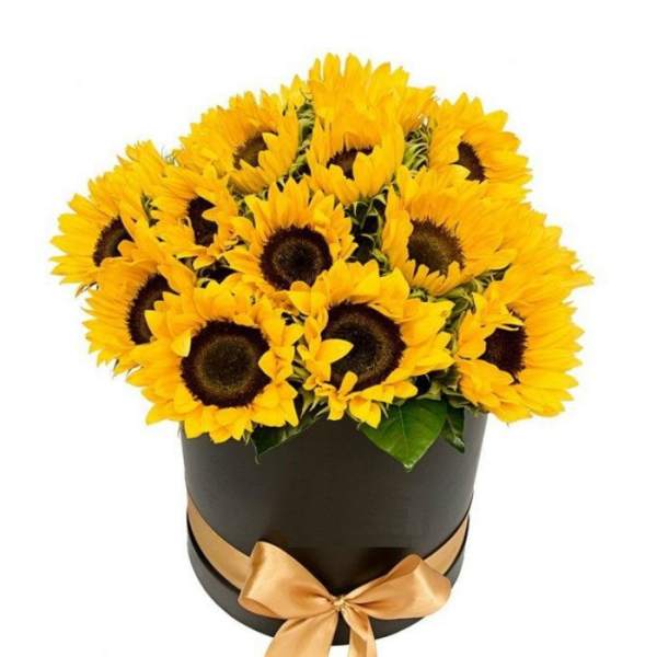 Bouquet of yellow sunflowers in a black hatbox with a gold ribbon