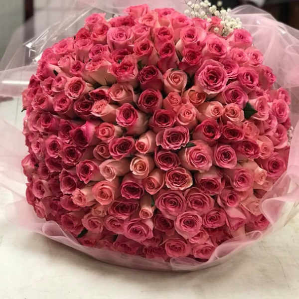 Large bouquet of pink roses wrapped in pale pink paper