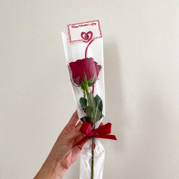 Single red rose in clear wrap with a Valentine card and red ribbon