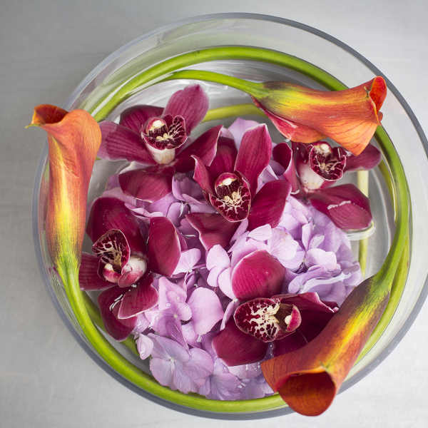 Round bowl arrangement with purple orchids, hydrangea, and orange calla lilies