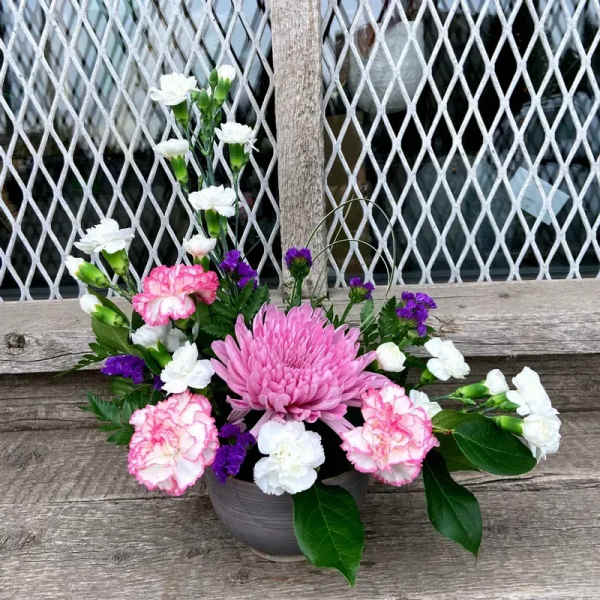 Simply a Delight!