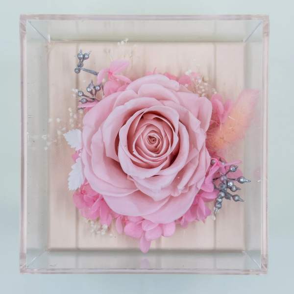 Pink rose in a clear square display box with small decorative accents