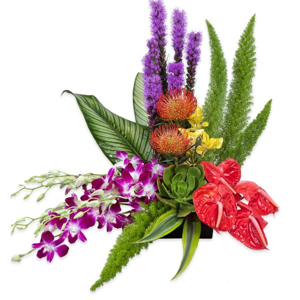 Aloha Styled Spray