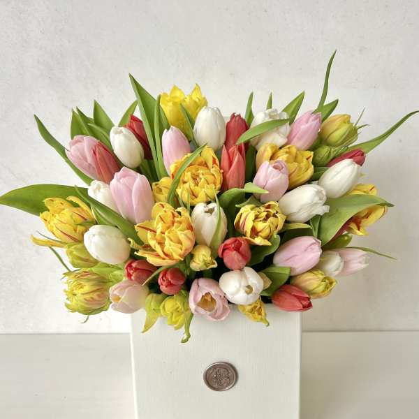 Mixed tulip bouquet in a white box