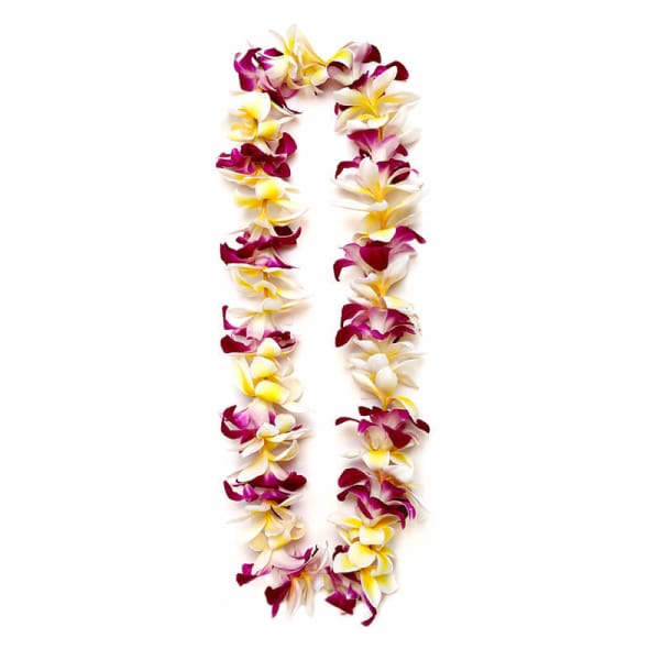 Two purple, white, and yellow flower leis on a white background